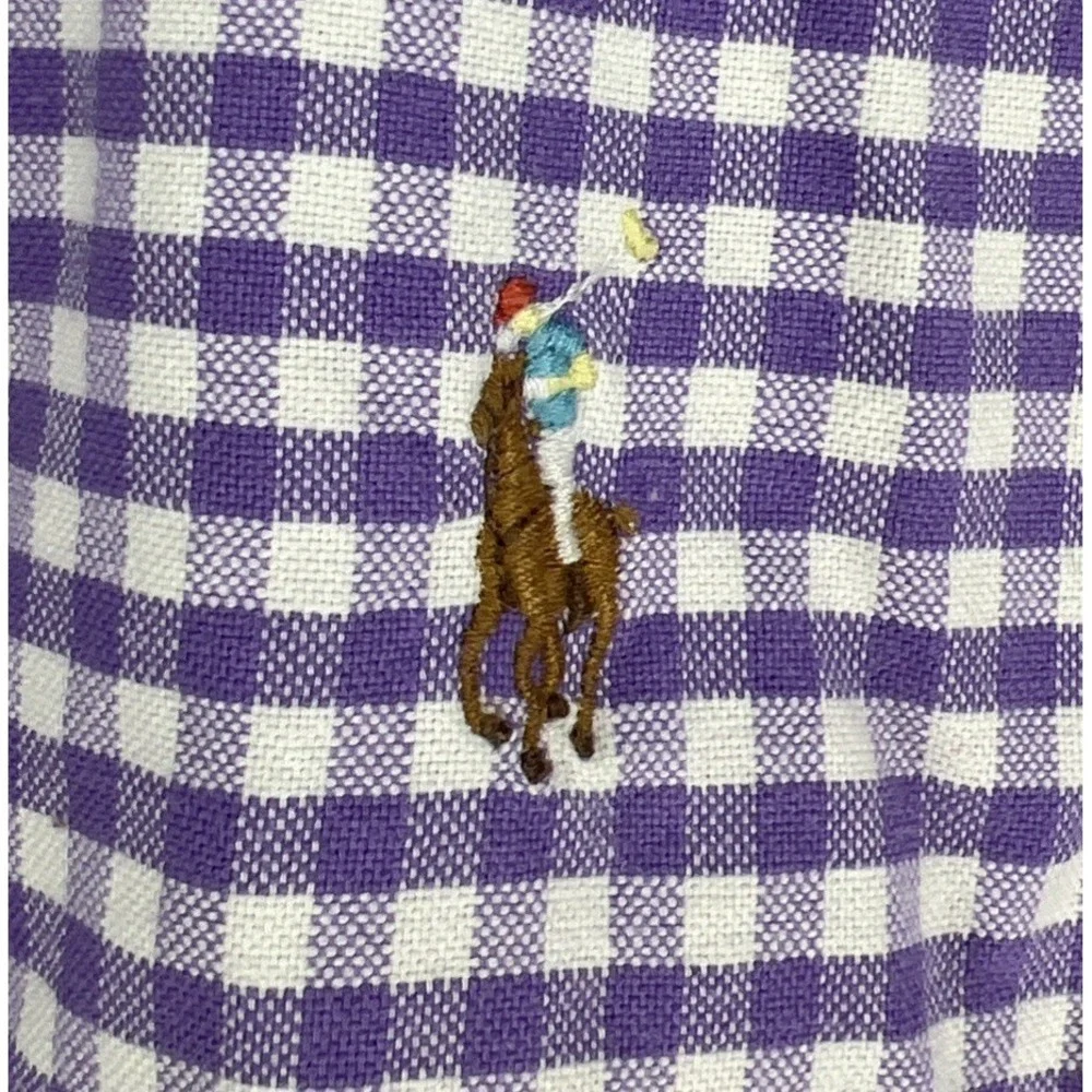 Ralph Lauren Blue Label Mens Large Oxford (Multicolored Pony)